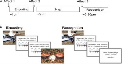 Emotional Memory Moderates the Relationship Between Sigma Activity and Sleep-Related Improvement in Affect